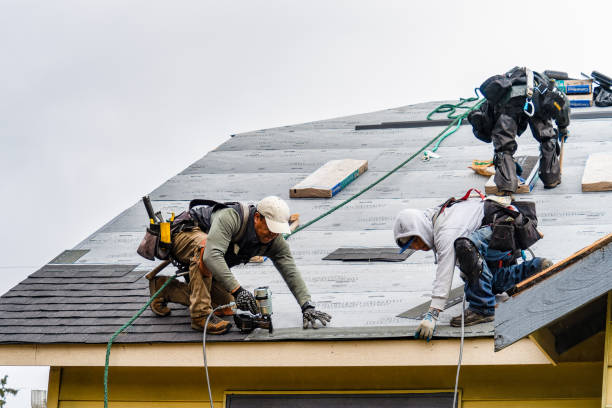 Professional Flat Roof Repair technician working in Campton, NH